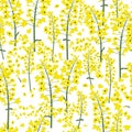 canola flower seamless vector