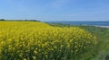 field on the Baltic Sea coast in spring