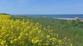 field on the Baltic Sea coast in spring