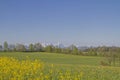 field in front of mountain Zugspitze