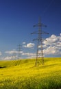 Rape field with high voltage electric towers