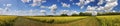 Rape field in panorama view Royalty Free Stock Photo