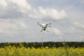 field scenery. Dron in action. Royalty Free Stock Photo
