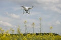field scenery. Dron in action. Royalty Free Stock Photo