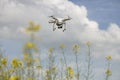 field scenery. Dron in action. Royalty Free Stock Photo