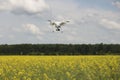 field scenery. Dron in action. Royalty Free Stock Photo