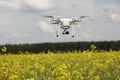 field scenery. Dron in action. Royalty Free Stock Photo