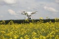 field scenery. Dron in action. Royalty Free Stock Photo