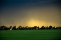 field in sunset