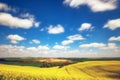 Rape field in the sunshine Royalty Free Stock Photo