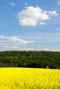 field and transmission tower