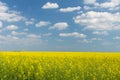 field under blue cloudy sky