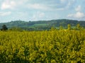 field in West Bohemia Royalty Free Stock Photo