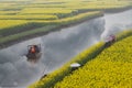 Rape flower field in rain, Jiangsu, China