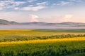 The rape flower fields and morning fog Royalty Free Stock Photo