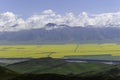 flower fields in the mountains Royalty Free Stock Photo