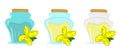 Rape flowers, canola oil in a glass jar or bottle. Brassica napus. Canola.