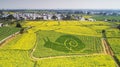 Nanjing yaxi international slow city canola pastoral scenery agricultural