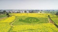 Nanjing yaxi international slow city canola pastoral scenery agricultural