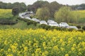 Nanjing yaxi international slow city canola pastoral scenery agricultural