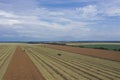 Rape harvest using combine harvester on summer field. Mechanical harvesting of oilseed rape Brassica napus.