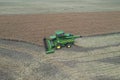 Rape harvest using combine harvester on summer field. Mechanical harvesting of oilseed rape Brassica napus.