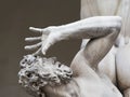 of sabine women statue detail Royalty Free Stock Photo