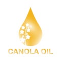 Rapeseed and canola oil icon