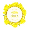 Rapeseed blossom flowers. Card template text. Round Circle badge Flowering Canola or colza. Brassica napus. Blooming rape