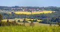 Rapeseed canola colza field Brassica Napus village Royalty Free Stock Photo