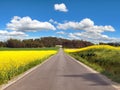 Rapeseed canola or colza field and rural road Royalty Free Stock Photo