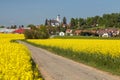 Rapeseed, canola or colza field, rural road and village Royalty Free Stock Photo