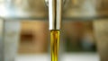 Rapeseed canola oil organic quality bio, pour and pouring in a steel barrel, for cold food and fried foodstuff, filling