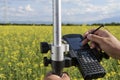 Rapeseed Controller Hands Hold Royalty Free Stock Photo