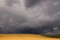 Rapeseed crops on a stormy day Royalty Free Stock Photo