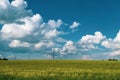 Yellow rapeseed field, blue sky and white clouds. natural scenery Royalty Free Stock Photo