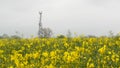 Rapeseed field and communication tower under overcast rain