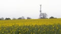 Rapeseed field and communication tower under overcast rain