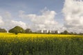 Rapeseed field and Eastham Oil Storage Depot Royalty Free Stock Photo