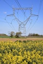 Rapeseed field with electric pylons Royalty Free Stock Photo