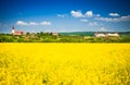 Rapeseed field, Feldioara fortress, Romania