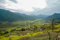 Rapeseed field-Jiangling, Wuyuan, Jiangxi Royalty Free Stock Photo