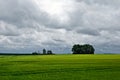 Rapeseed field at summer time. Yellow oilseed rape field under the blue sky with sun Royalty Free Stock Photo