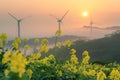 Rapeseed field with wind turbines at sunset. Alternative energy source