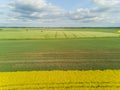 Rapeseed field yellow green Aerial view of countryside, drone top view Latvia Royalty Free Stock Photo