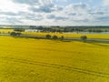 Rapeseed field yellow green Aerial view of countryside, drone top view Latvia Royalty Free Stock Photo