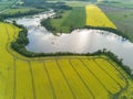 Rapeseed field yellow green Aerial view of countryside, drone top view Latvia Royalty Free Stock Photo