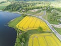 Rapeseed field yellow green Aerial view of countryside, drone top view Latvia Royalty Free Stock Photo