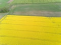 Rapeseed field yellow green Aerial view of countryside, drone top view Latvia Royalty Free Stock Photo