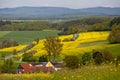 The rapeseed fields in Germany in the spring. Royalty Free Stock Photo